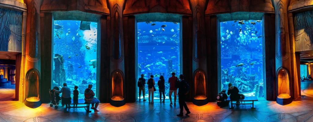 Vue de l'intérieur de l'aquarium The Lost Chambers à Dubaï