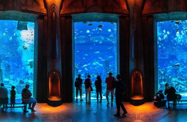 Vue de l'intérieur de l'aquarium The Lost Chambers à Dubaï