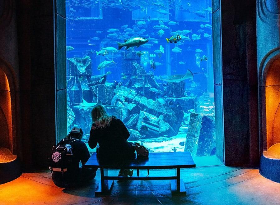 The Lost Chambers, aquarium à Dubaï