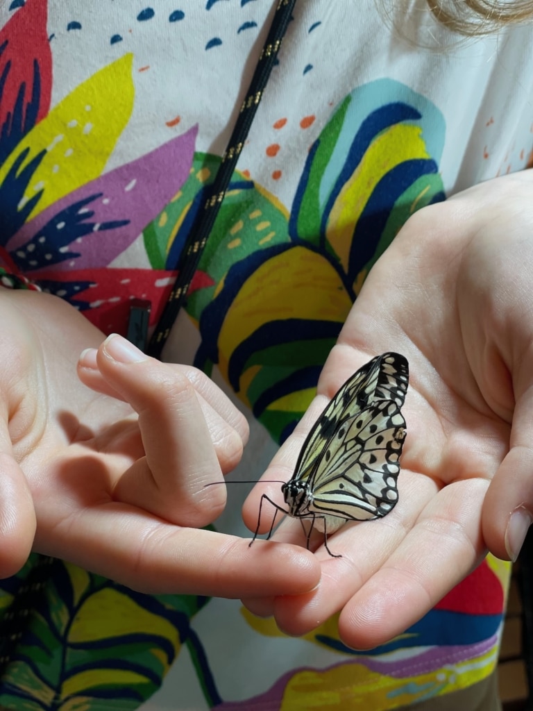 Papillon dans les mains au Dubai Butterfly Garden