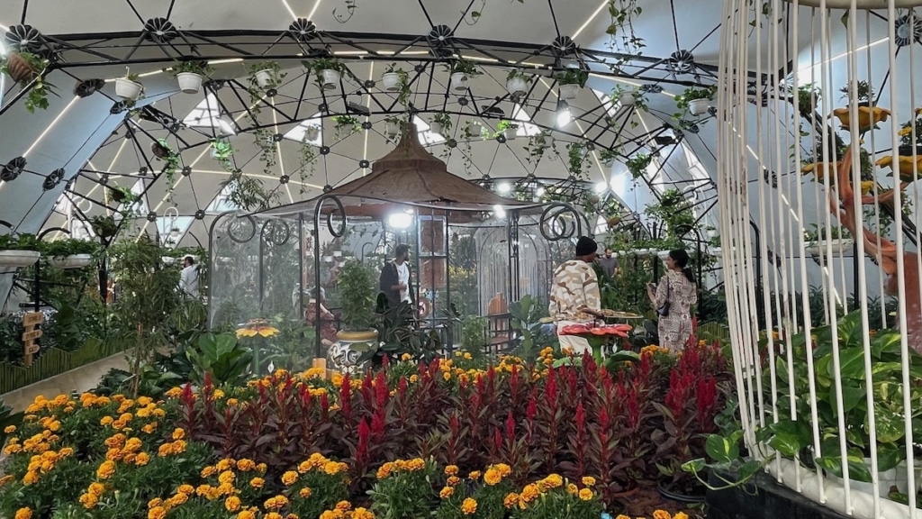 Salle de découverte des papillons au Dubai Butterfly Garden