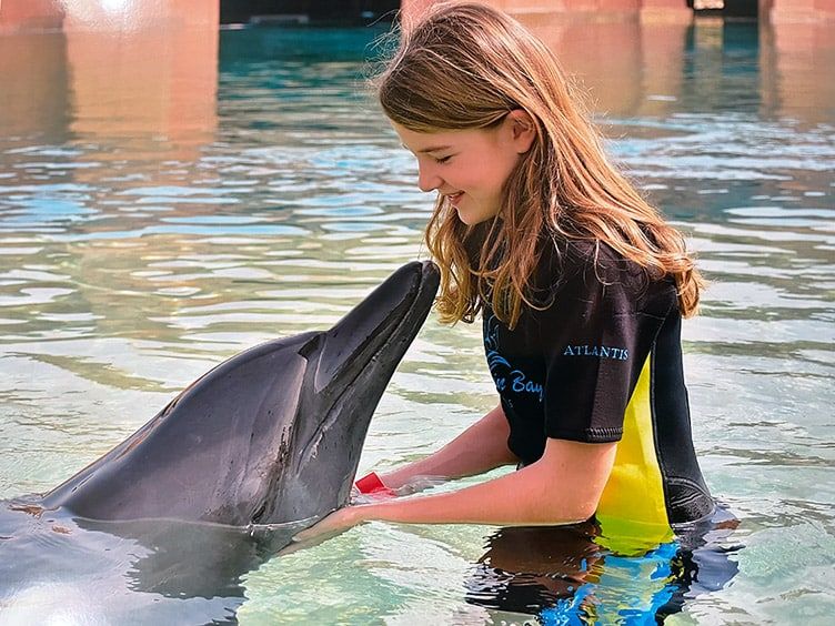Swimming with dolphins in Dubai