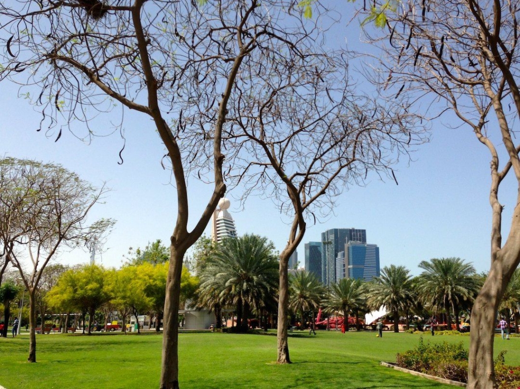 Park with palm trees in Dubai